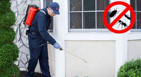 Çiçekdağı Gümüşkurt İlaçlama böcek ilaçlama ve haşere kontrolü — ilaclama-tr.com